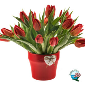 Bouquet di tulipani rossi