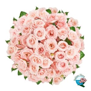 Bouquet di 50 rose rosa