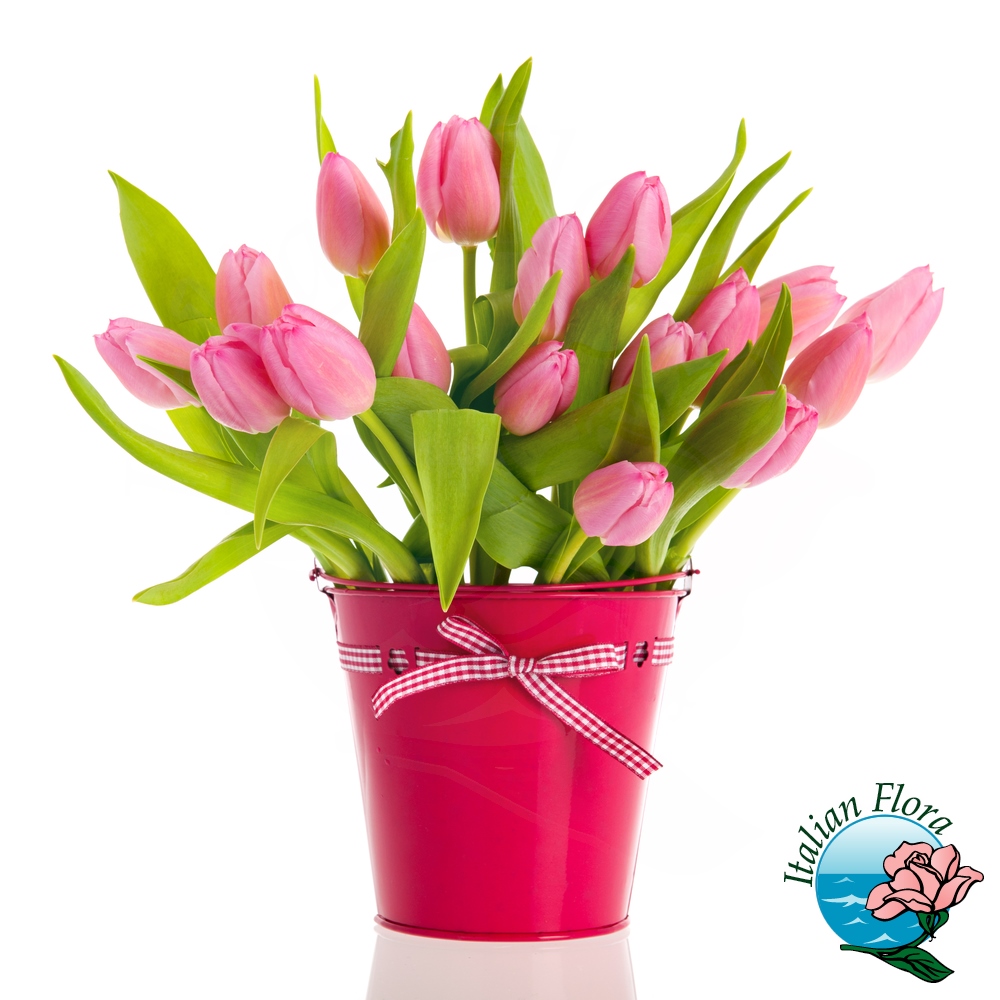 https://www.italflora.it/wp-content/uploads/2023/11/tulipani-rosa-in-vaso_zoom.jpg