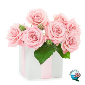 Flower Box di 7 Rose rosa