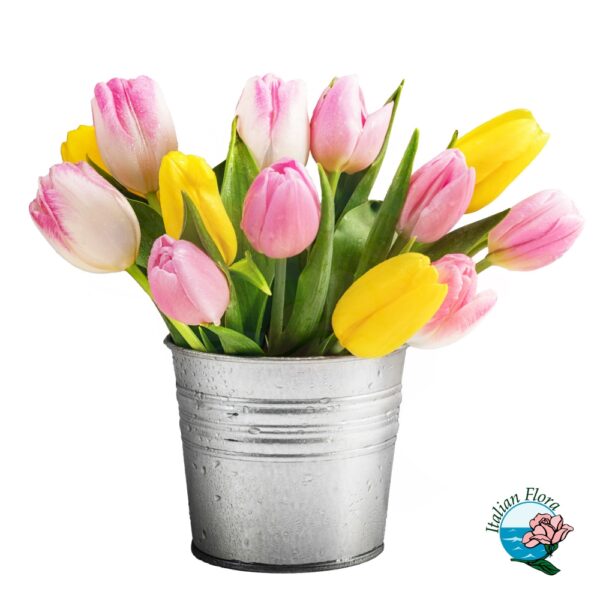 Tulipani rosa e gialli in vaso